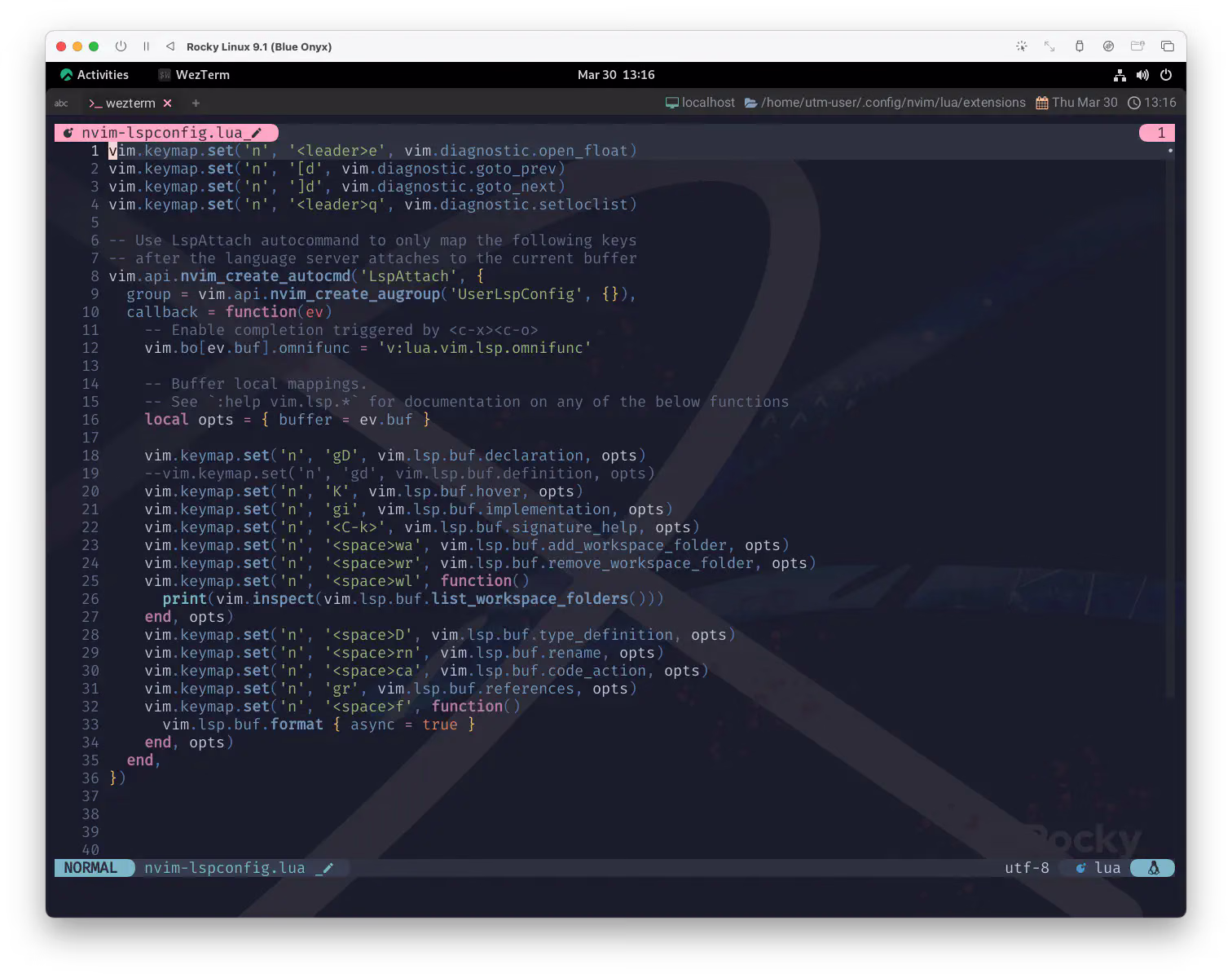 lspconfig