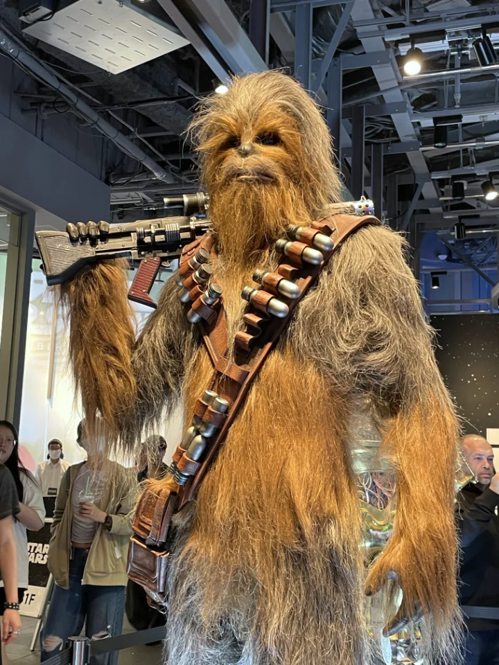 chewbacca