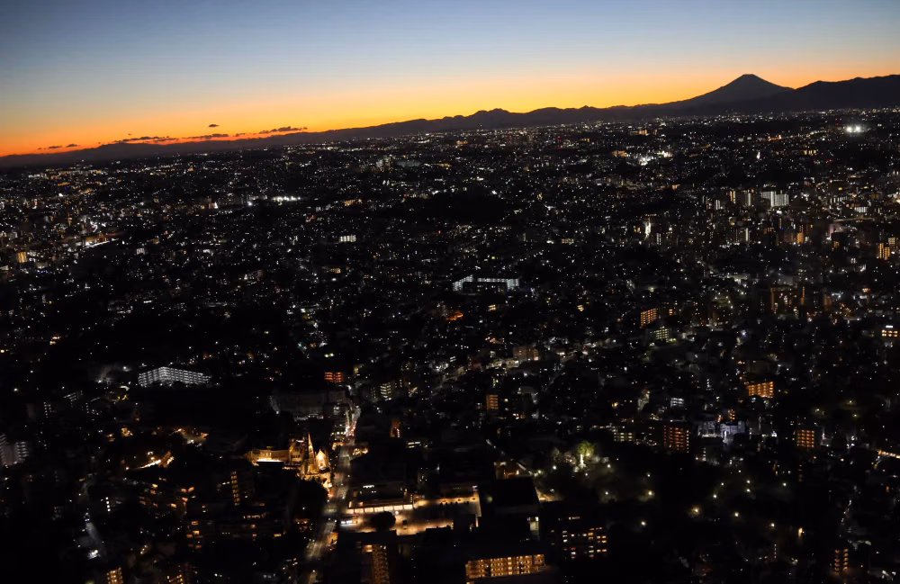 mount-night