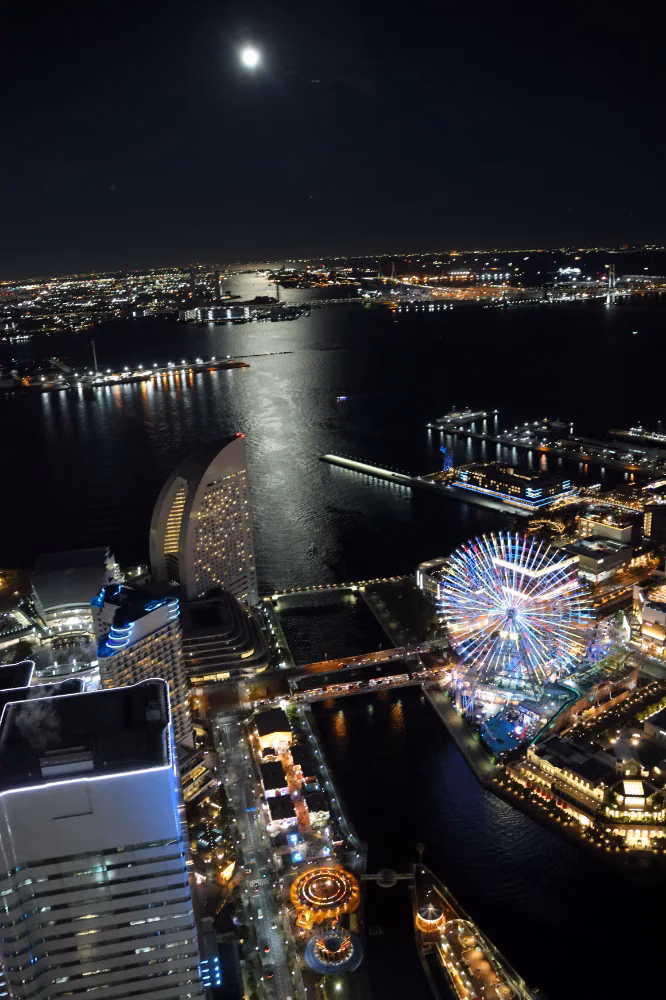 sky-garden-night