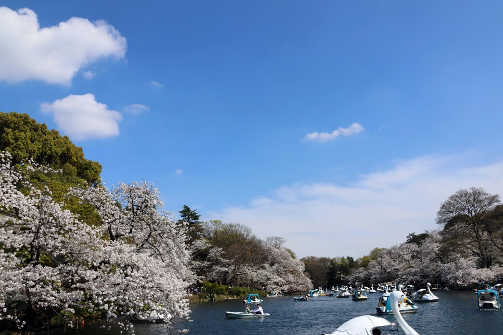 inokashira