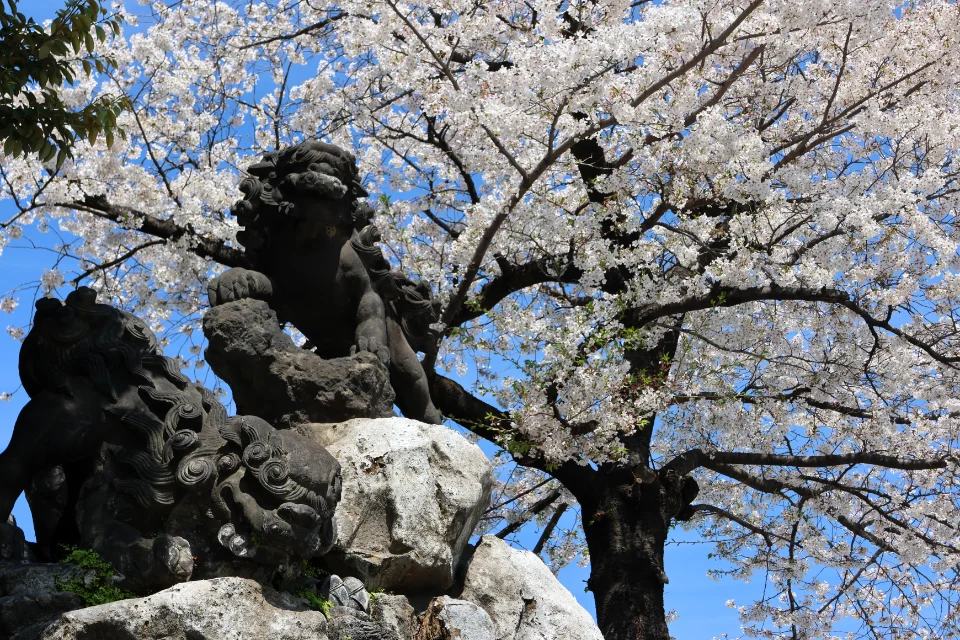 kanda-myoujin1