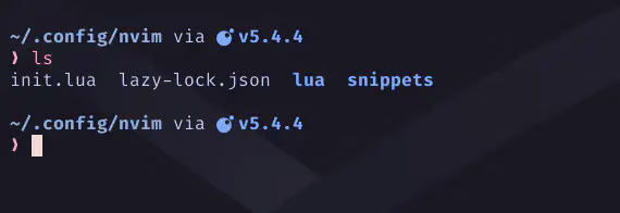 lazy-lock