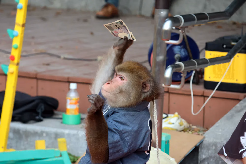 money