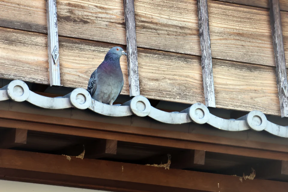 おかげ横丁2