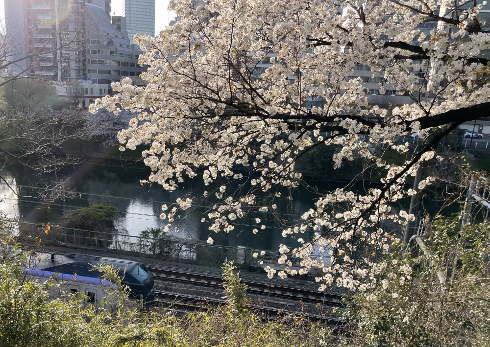 sotobori